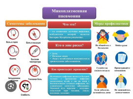 Профилактика микроплазменной пневмонии Профилактика микроплазменной пневмонии.